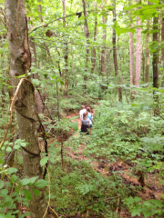 Latta expedition