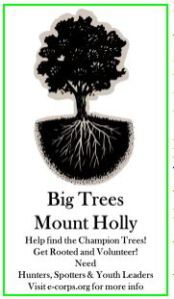 Big Tree logo