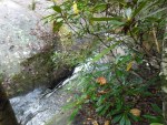 SAM_0182